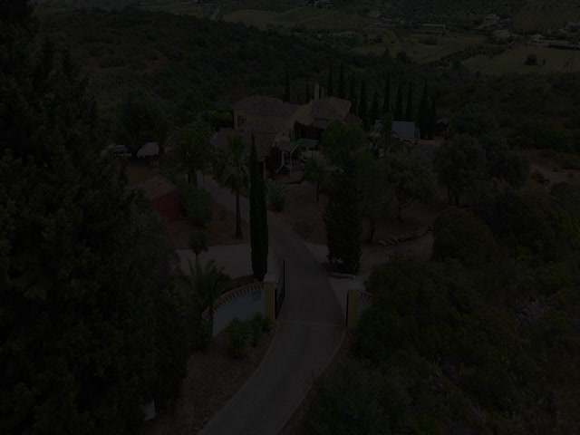 No Flash found